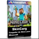 How to change the skin in Minecraft - SkinCarg Version 1.1